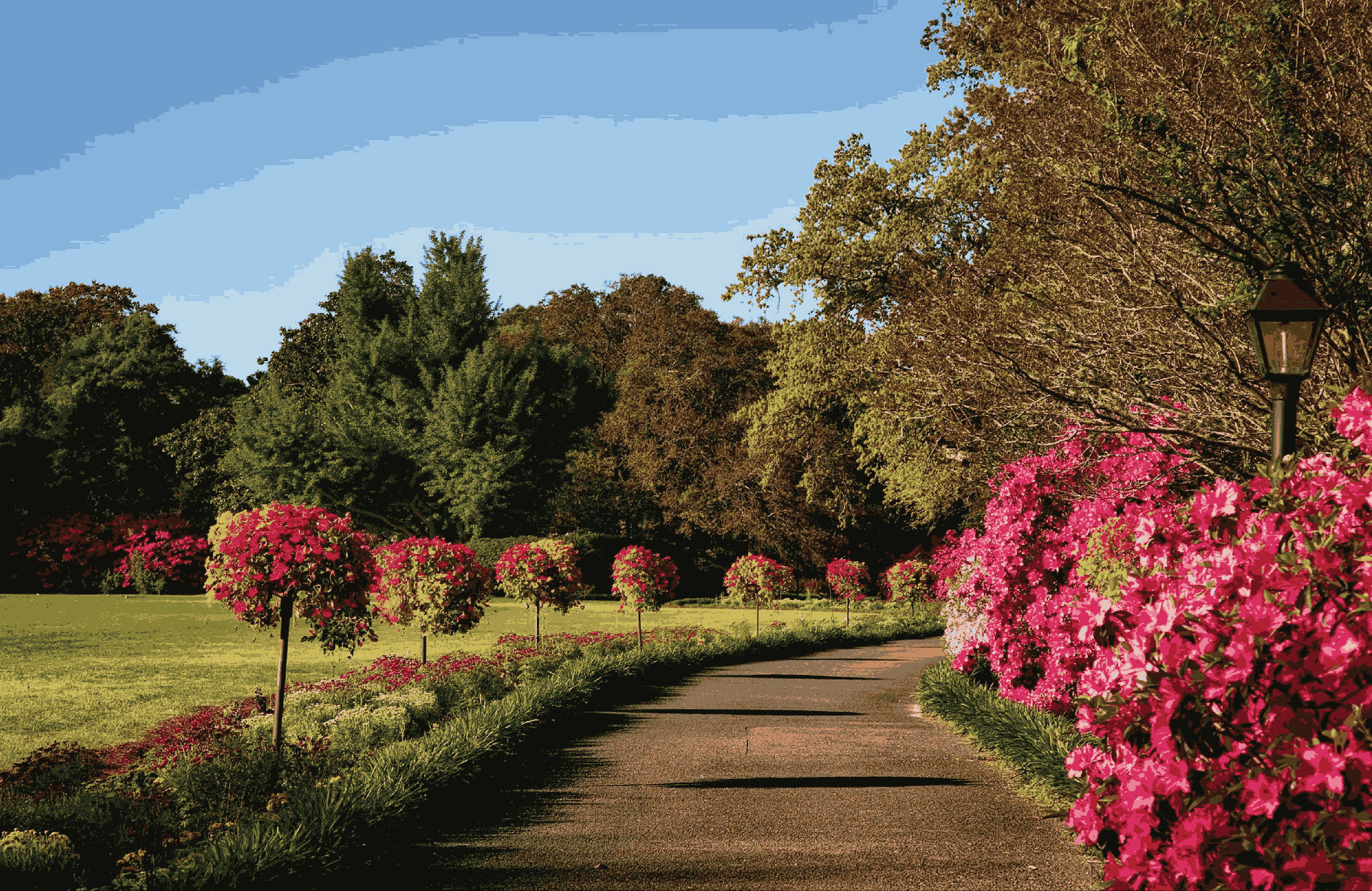 Park and Garden